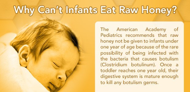  Honey Bacteria Windsor CT 6095